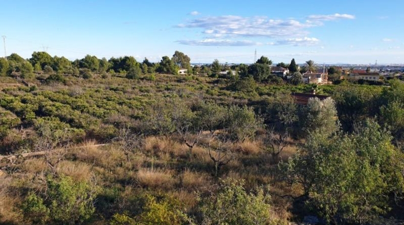 Valencia - Náquera - 7765m2