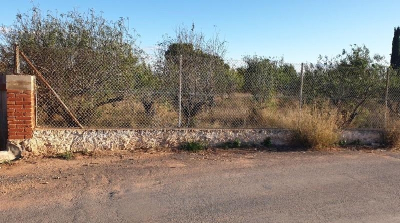 Valencia - Náquera - 7765m2