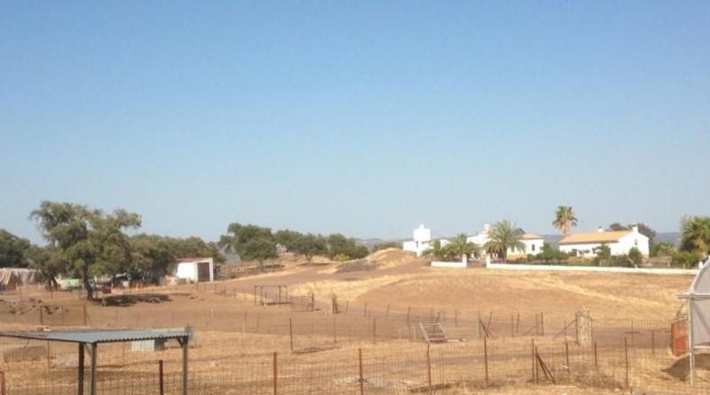 Sevilla - Almadén de la Plata - 800000m2
