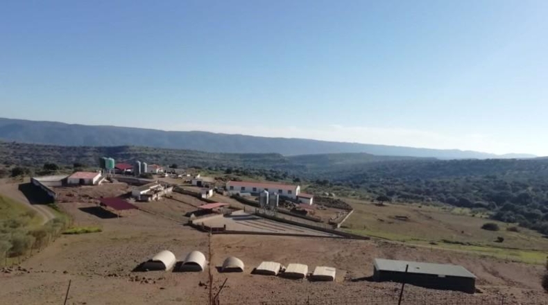 Sevilla - Almadén de la Plata - 800000m2