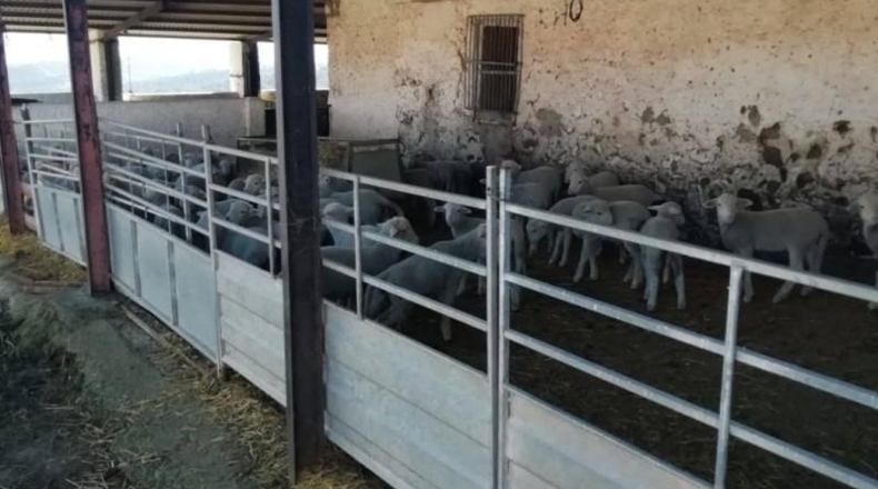 Sevilla - Almadén de la Plata - 800000m2