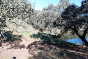 Almadén de la Plata 800000&nbsp;m² 