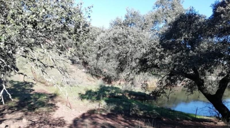 Sevilla - Almadén de la Plata - 800000m2