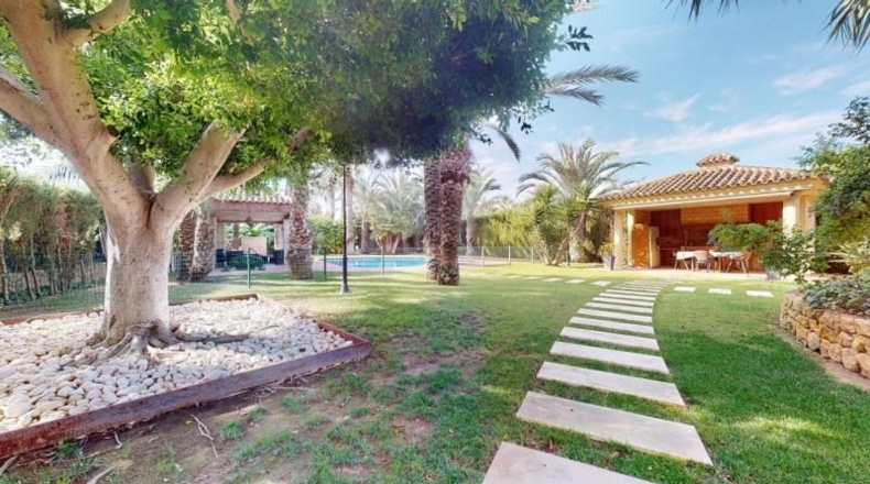 Alicante - Elche - 4774m2