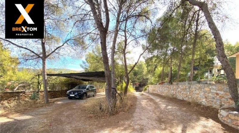 Murcia - Murcia - 2720m2