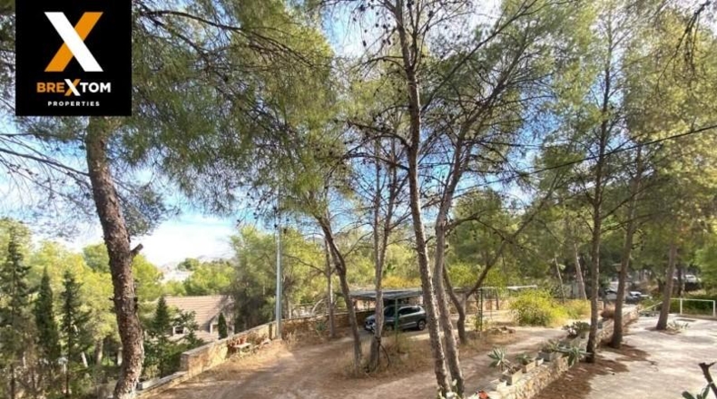 Murcia - Murcia - 2720m2