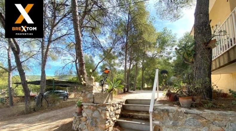 Murcia - Murcia - 2720m2