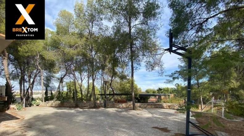 Murcia - Murcia - 2720m2