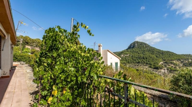 Islas Baleares - Puigpunyent - 1300m2