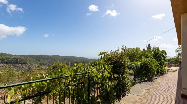 Islas Baleares - Puigpunyent - 1300m2