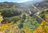 Chalet independiente con terreno en venta en la España, Monda, ref: TR372387 foto