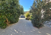 Chalet independiente con terreno en venta en la España, Monda, ref: TR372387 foto