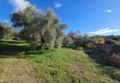 Chalet independiente con terreno en venta en la España, Monda, ref: TR372387 foto