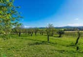 Загородный дом с участком на продажу в городе Santa Margalida Фото
