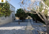 Xalet independent amb terreny en venda a la España, Dénia, ref.: TR242704 foto