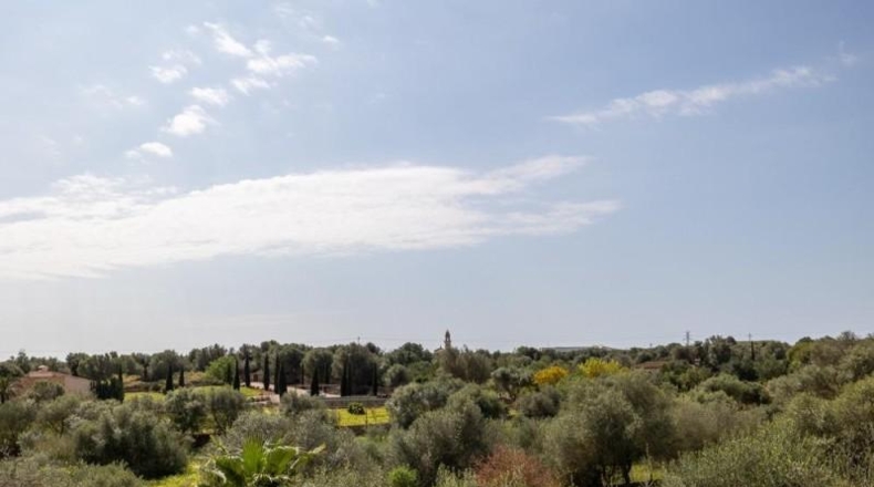 Balearic Islands - Las Salinas - 13658m2