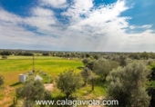 Xalet independent amb terreny en venda a la España, ses Salines, ref.: TR240643 foto