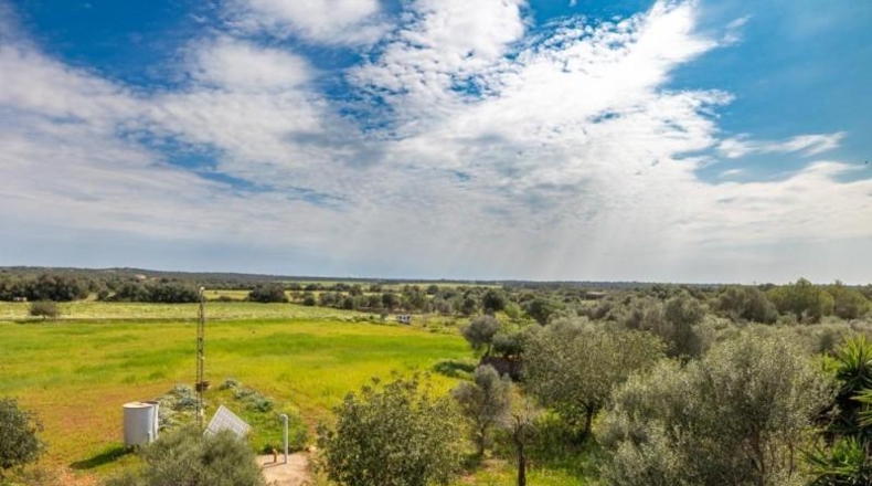 Balearic Islands - Las Salinas - 13658m2