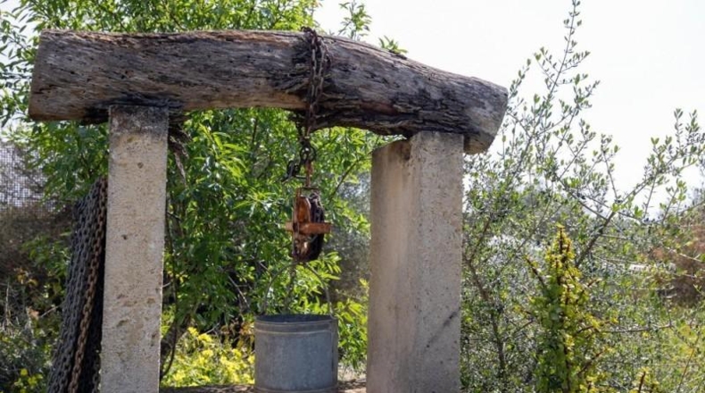 Balearic Islands - Las Salinas - 13658m2