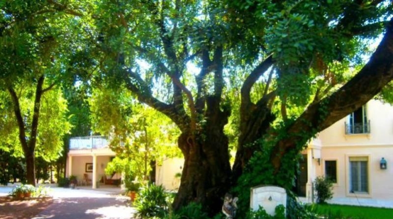 Córdoba - Córdoba - 1728m2
