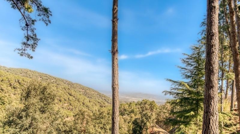 Barcelona - Tordera - 537m2