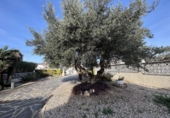 Casa de poble en venda a la España, Castelló d'Empúries, ref.: TR293715 foto