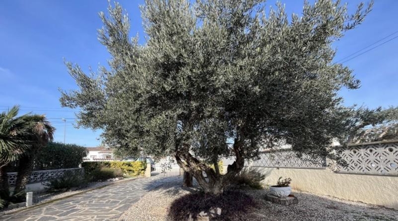Gerona - Empuriabrava - 572m2