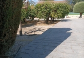 Chalet independiente con terreno en venta en la España, Lorca, ref: TR171140 foto