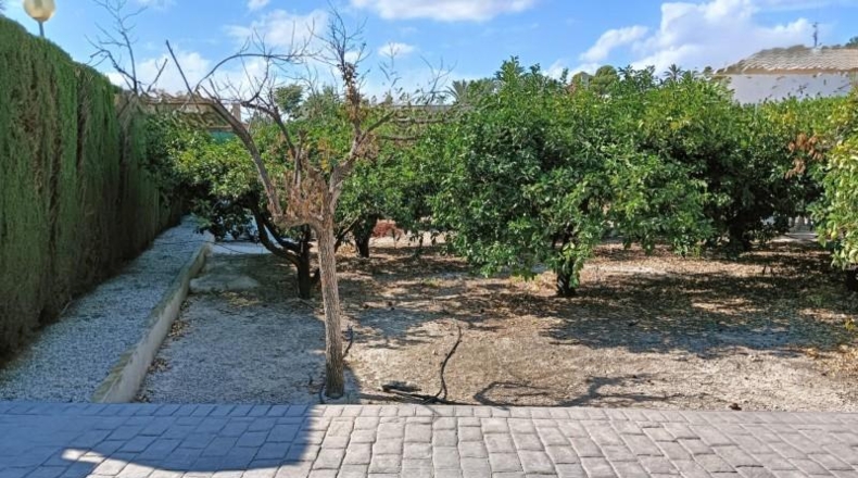 Murcia - Lorca - 2320m2