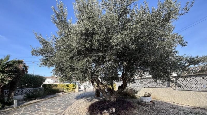 Gerona - Empuriabrava - 561m2