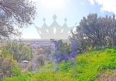 Xalet independent amb terreny en venda a la España, Bunyola, ref.: TR163683 foto