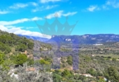 Xalet independent amb terreny en venda a la España, Bunyola, ref.: TR163683 foto
