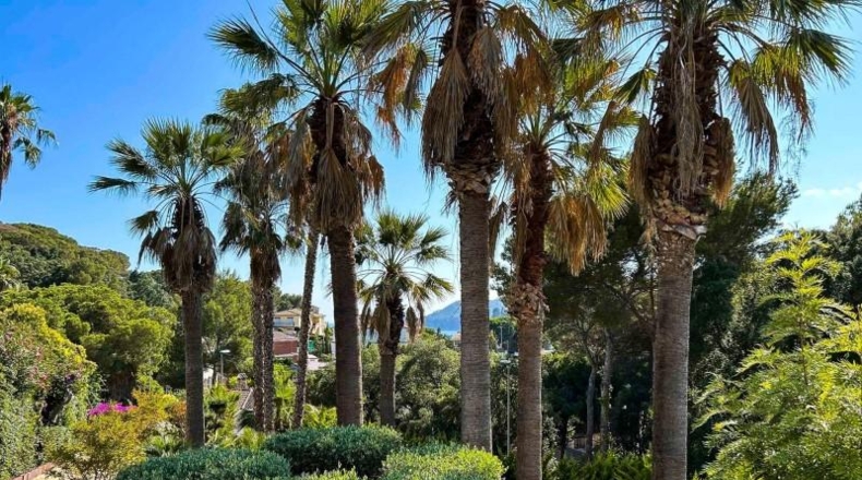 Gerona - Lloret de Mar - 1130m2