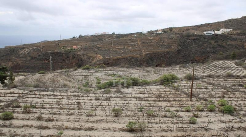 Santa Cruz de Tenerife - Güímar - 180000m2