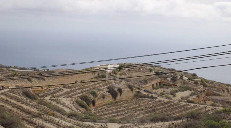 Santa Cruz de Tenerife - Güímar - 180000m2