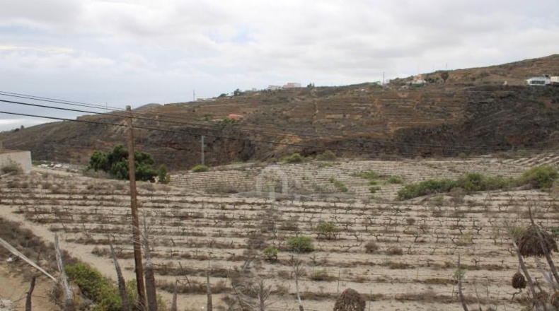 Santa Cruz de Tenerife - Güímar - 180000m2