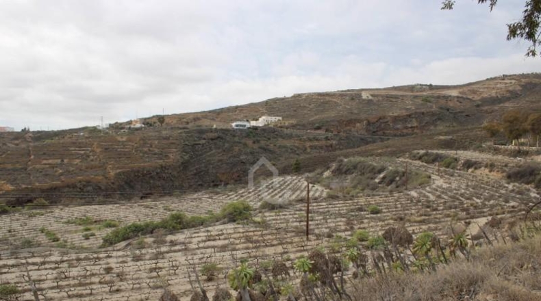 Santa Cruz de Tenerife - Güímar - 180000m2