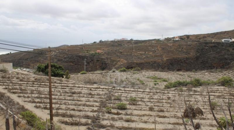 Santa Cruz de Tenerife - Güímar - 180000m2