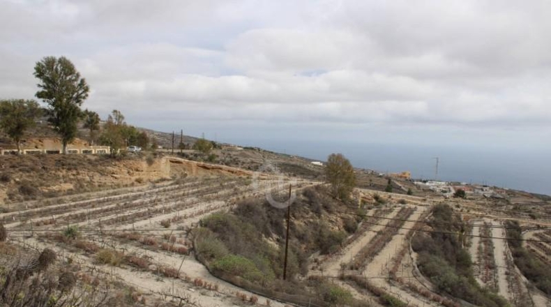 Santa Cruz de Tenerife - Güímar - 180000m2