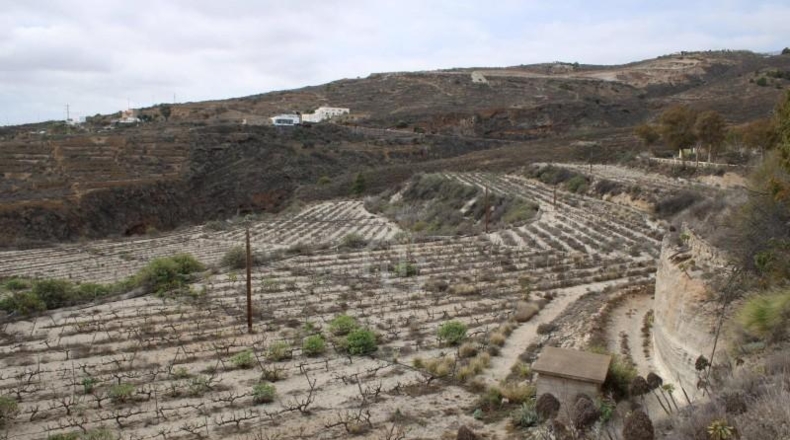 Santa Cruz de Tenerife - Güímar - 180000m2