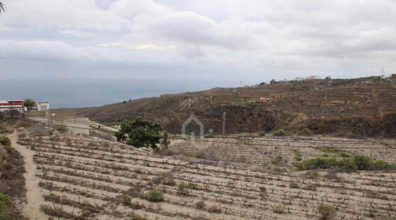 Santa Cruz de Tenerife - Güímar - 180000m2