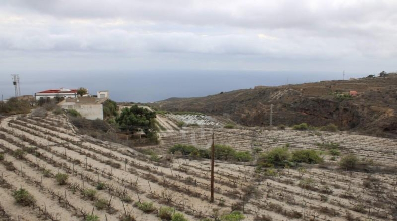 Santa Cruz de Tenerife - Güímar - 180000m2