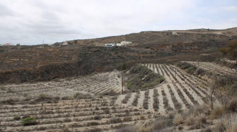 Santa Cruz de Tenerife - Güímar - 180000m2