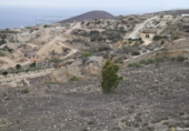 Terreny no urbanitzable en venda a la España, Güímar, ref.: TR310671 foto