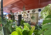 Casa de campo con terreno en venta en la España, Estepona, ref: TR157081 foto