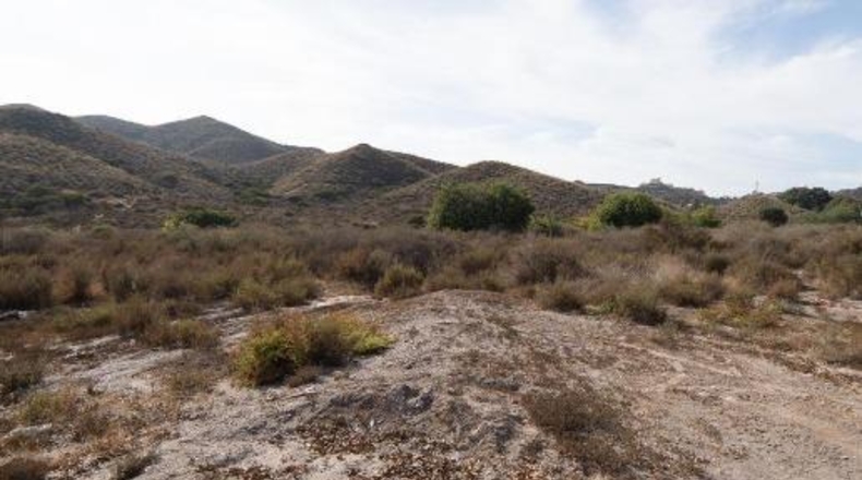 Murcia - Águilas - 18821m2