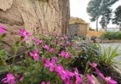 Загородный дом с участком на продажу в городе Sant Feliu de Guíxols Фото
