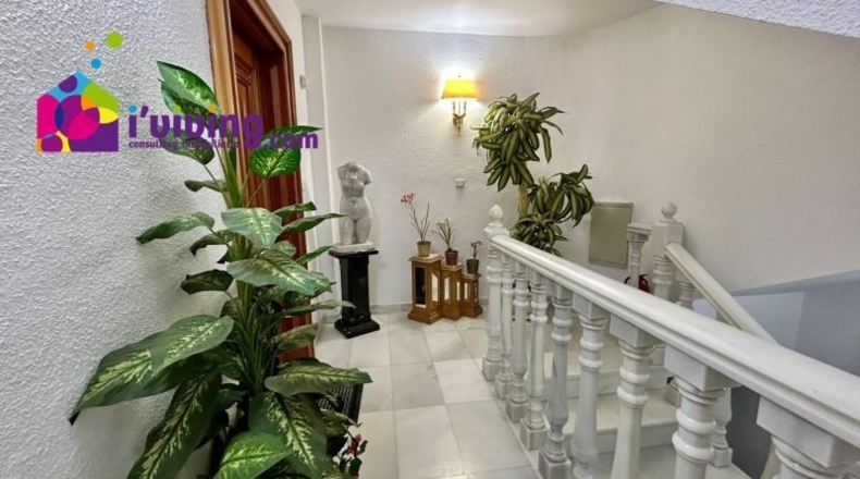 Almería - Olula del Río - 734m2