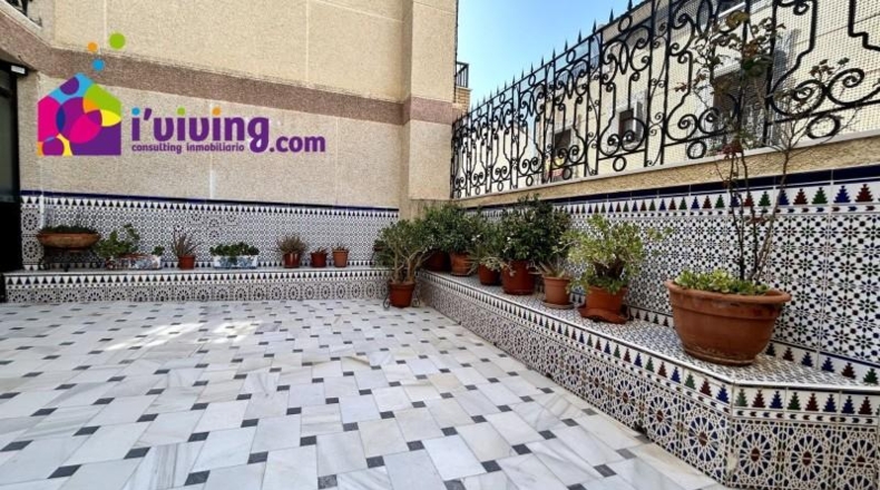 Almería - Olula del Río - 734m2