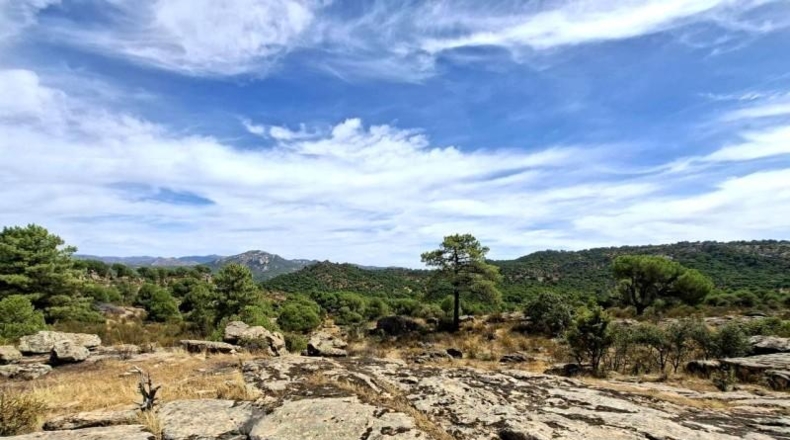 Comunidad de Madrid - San Martín de Valdeiglesias - 150000m2